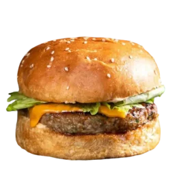 chicken cheese burger