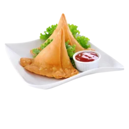 Chicken samosa