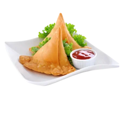 Chicken samosa